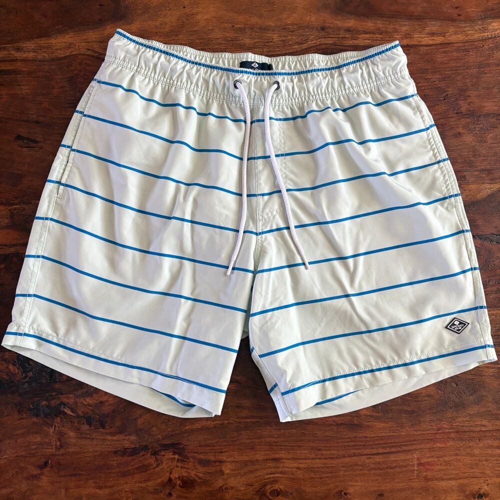 Sperry Mint And Blue Striped Swim Shorts Preppy Beach Lined Mens Lg